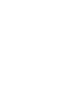 Festival Rewards